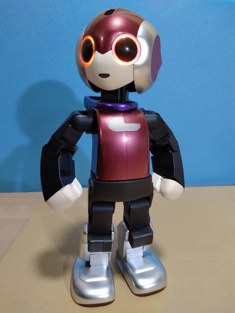 Robi ロビ 完成品 2014年 動作確認済み ロビ 動作確認済 ロビの目覚から起動 メタルダークレッド Robi