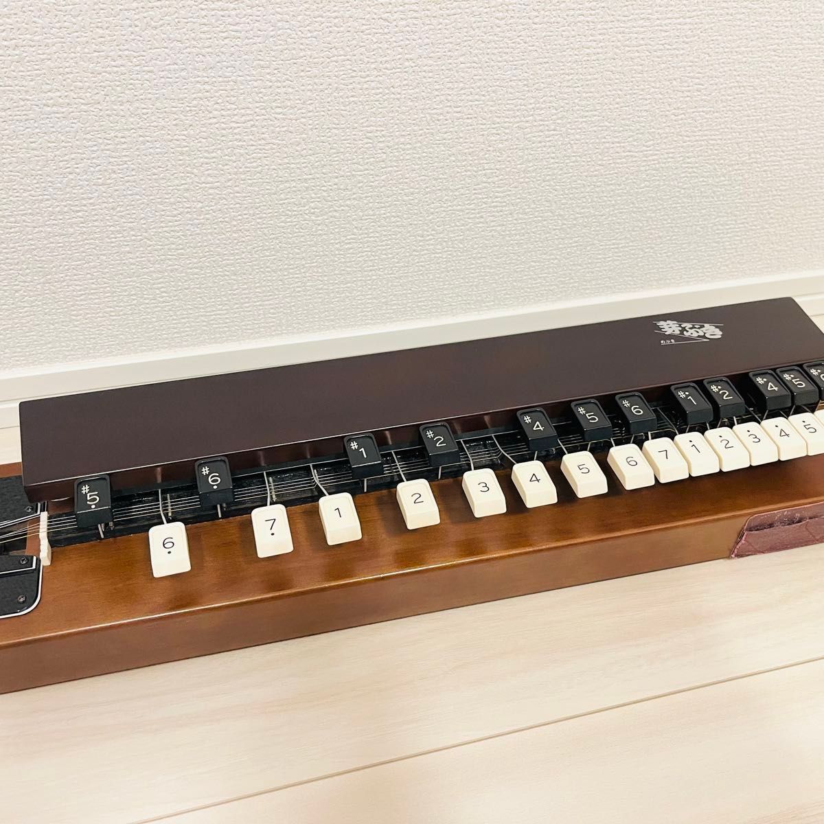 【美品】 ZENON T476 芽ぶき 大正琴 ハードケース付き 