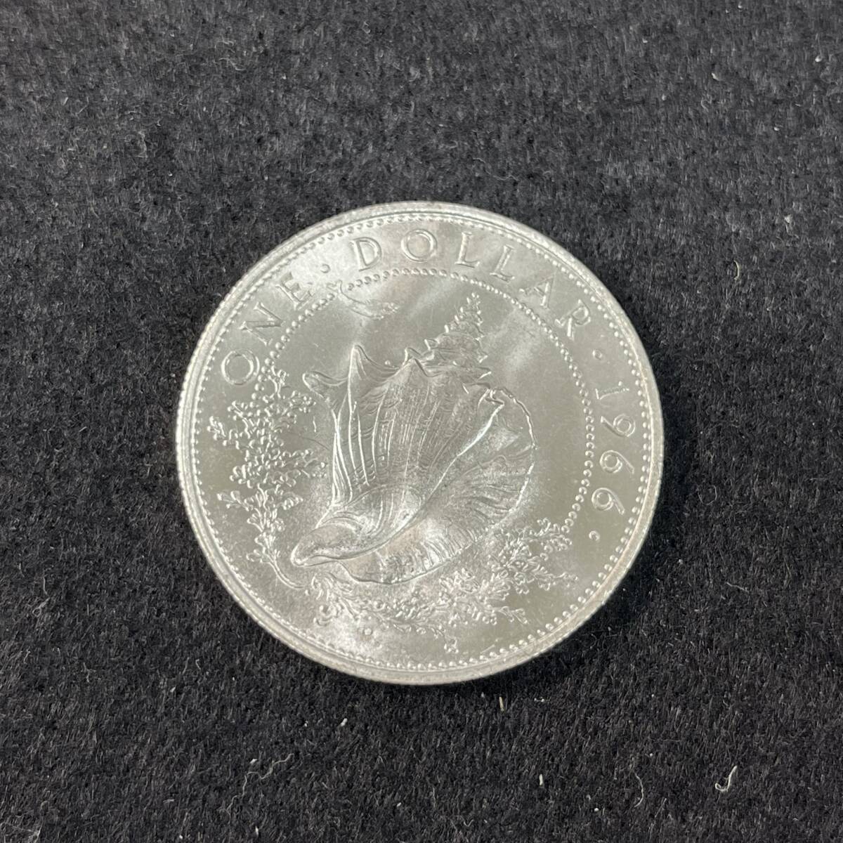 バハマ諸島 1ドル 銀貨 コンク貝 巻貝 1966年 Bahamas coin#16775fの画像1