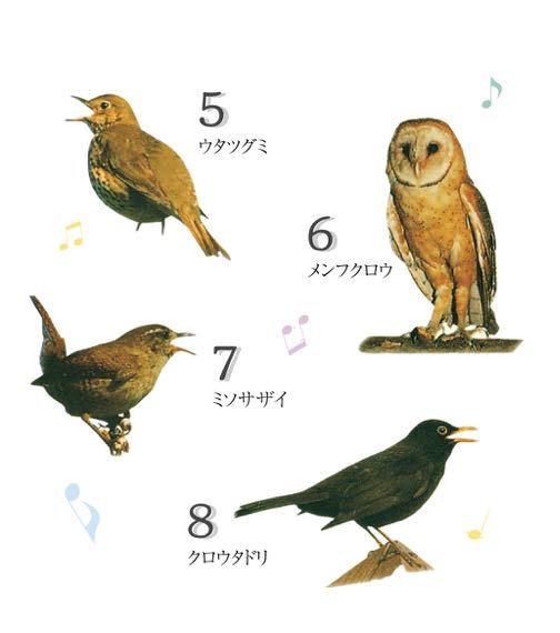 限定１０個展示品 野鳥 電波自動受信 掛け時計 大型 レトロ 壁掛け時計電波自動受信 野鳥の電波時計 安眠機能 日本標準の画像8