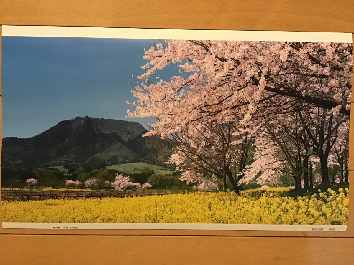 新潟上堰潟公園 カレンダー切り抜き写真ポスター サイズ22 38 非売品 代購幫 新潟上堰潟公園 カレンダー切り抜き写真ポスター サイズ22 38 非売品 代購幫