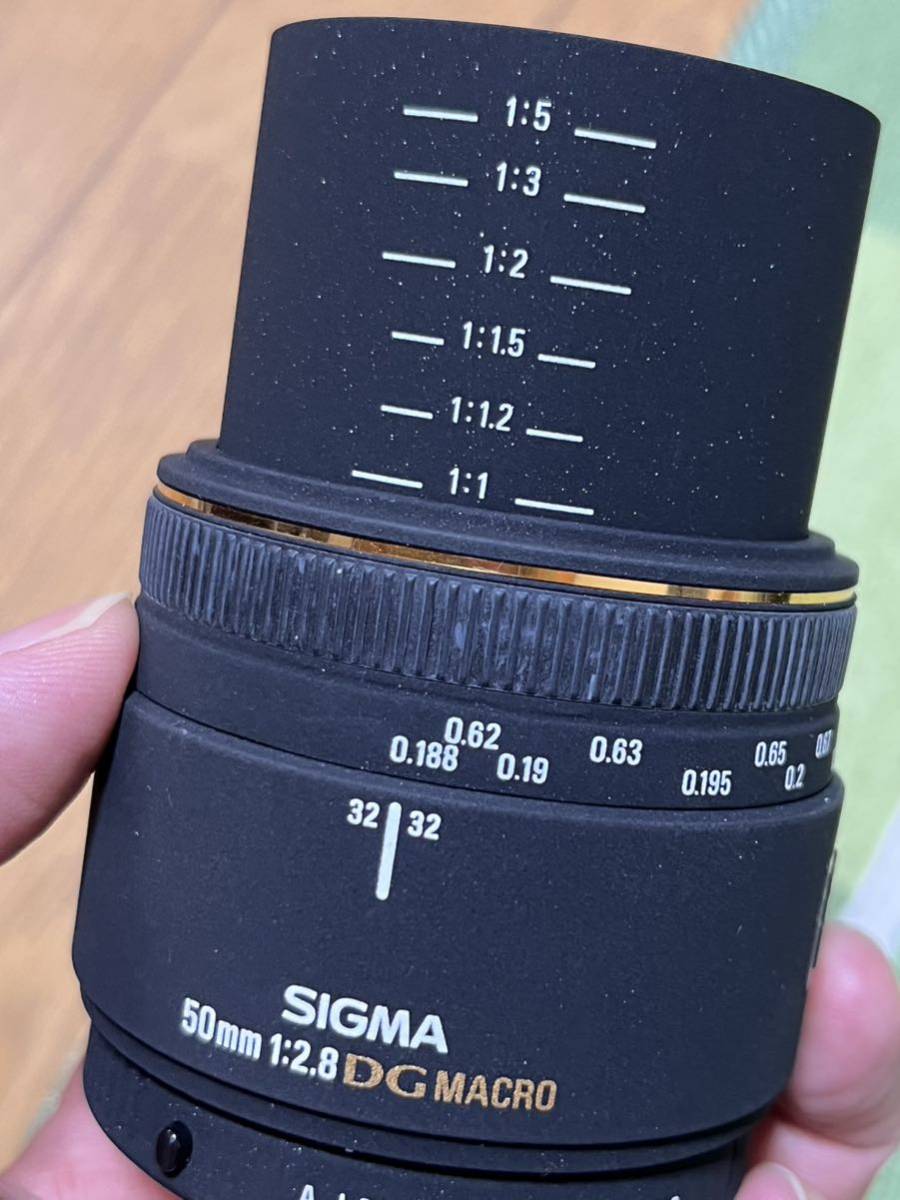 SIGMA 50mm F2.8 EX DG MACRO D ニコン用 Fマウント マクロレンズ 綺麗　動作品_画像9