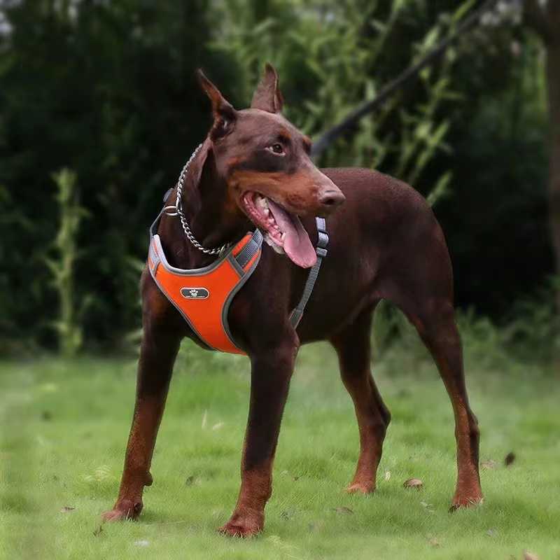 犬 ハーネス 中型犬 大型犬 小型犬 胴輪 簡単着脱 引っ張り防止 抜けない オレンジ Ｍサイズ