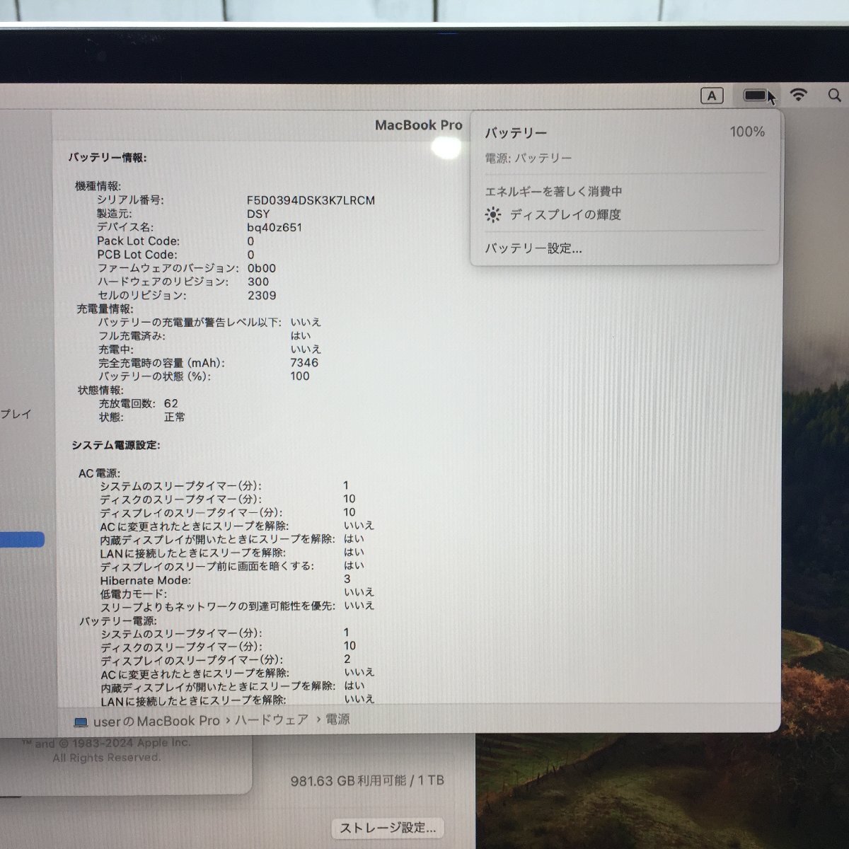 Apple MacBook Pro 16-inch 2019 Core i9 2.30GHz/32GB/1TB(NVMe) 〔B0330〕_画像10
