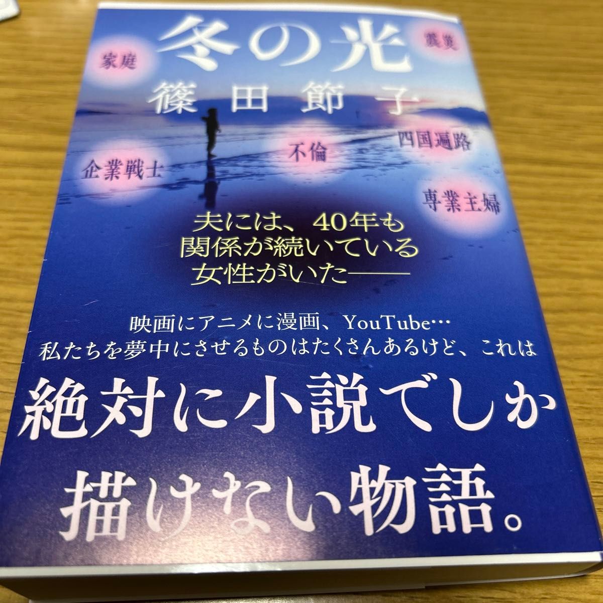 冬の光 （文春文庫　し３２－１２） 篠田節子／著