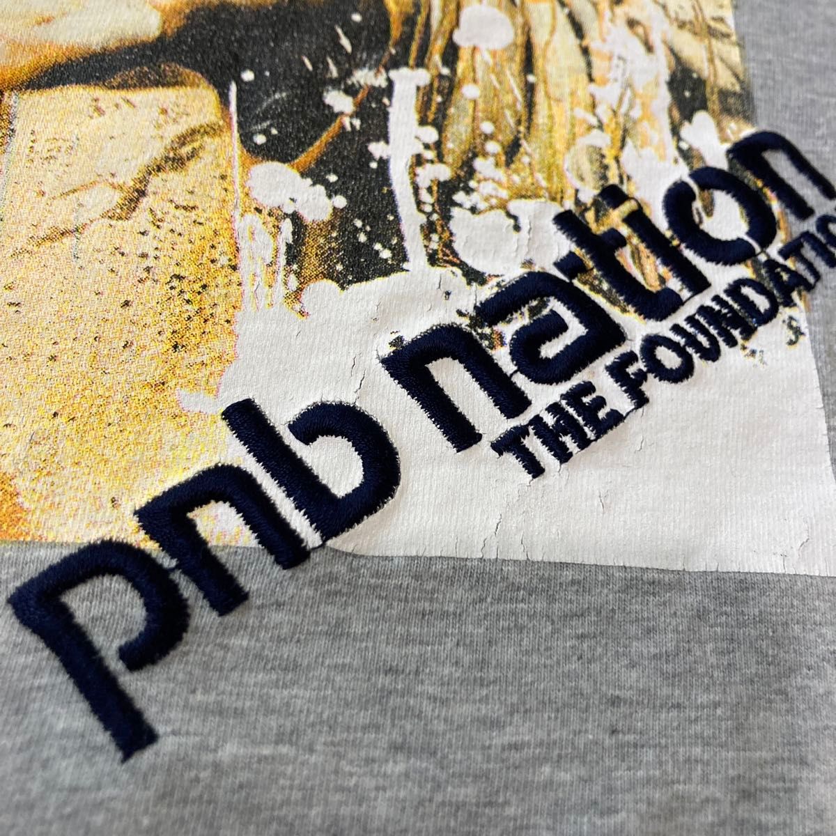 PNB NATION  Tシャツ（XL）