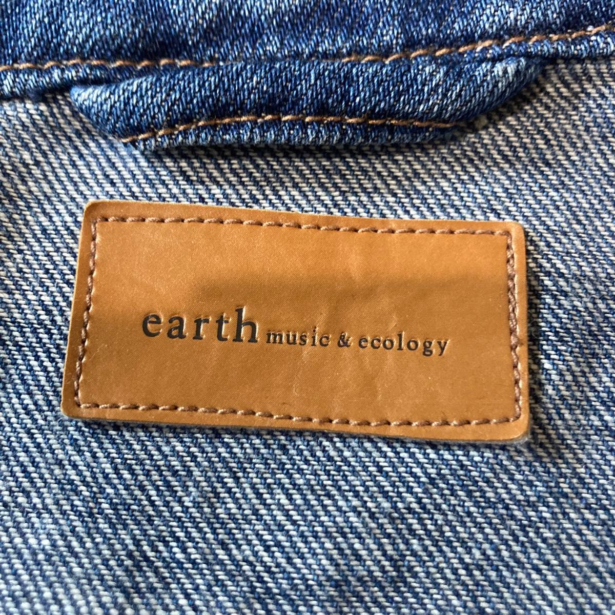 earth music & ecology  Gジャン