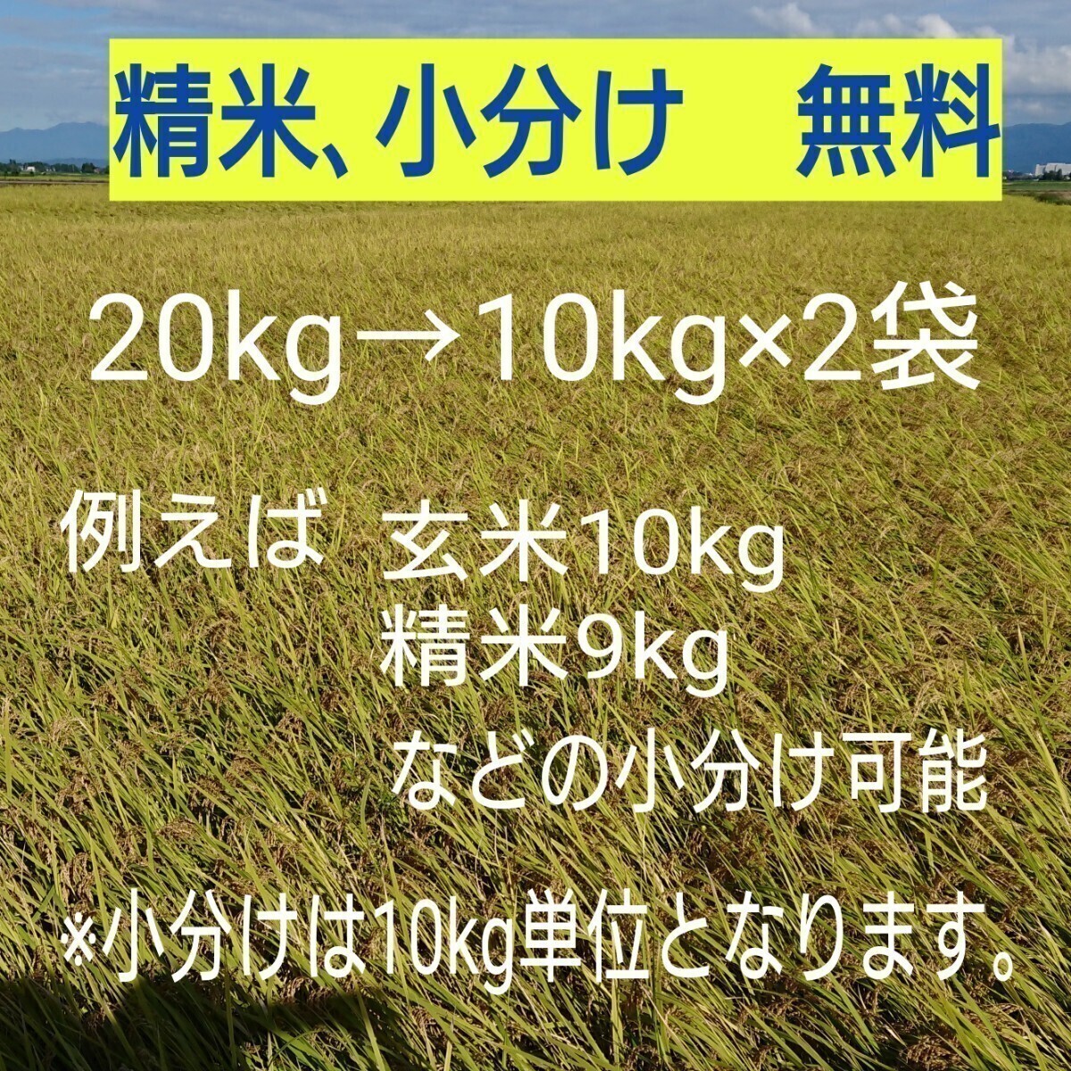 新米！新潟コシヒカリ玄米20kgの画像2