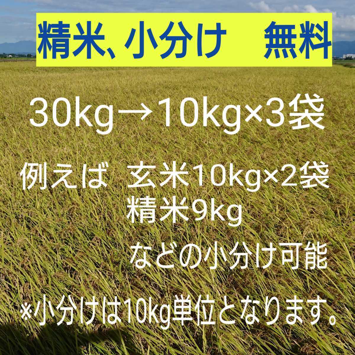 新米！新潟コシヒカリ玄米30kg_画像2