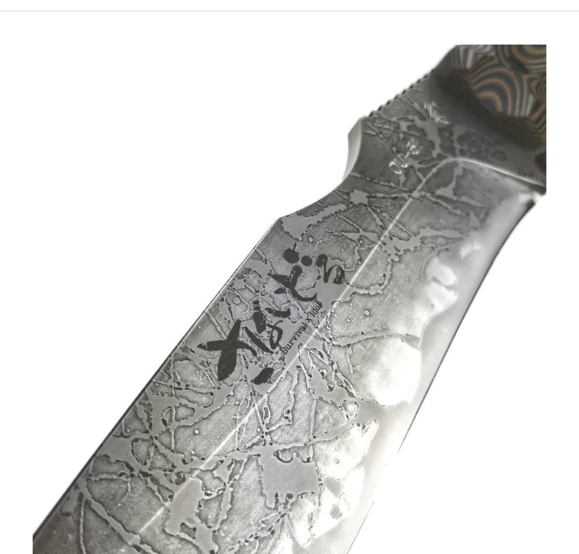 新品】松田菊男氏 キクナイフ KIKU KNIVES 『さばいどるナイフ 新品】松田菊男氏 キクナイフ KIKU KNIVES 『さばいどるナイフ