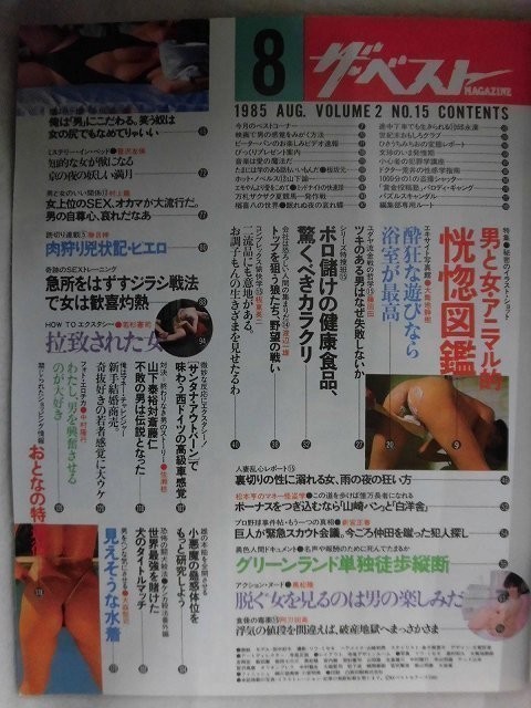 ヤフオク C363 ザ ベストマガジン1985年8月号no 15 グラ