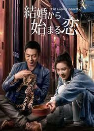 結婚から始まる恋『中国ドラマ』『キツネ』『Blu-ray』『araiguma』_画像1