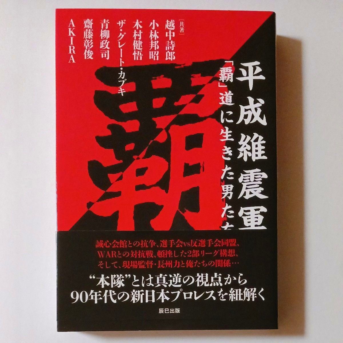 平成維震軍 「覇」道に生きた男たち (G SPIRITS BOOK Vol.10)  辰巳出版 新日本プロレス Gスピリッツ 初版