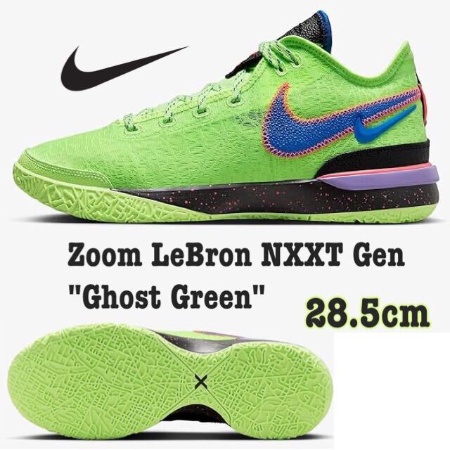 Nike Zoom LeBron NXXT Gen Ghost Greenナイキ ズーム レブロン NXXT ジェン ゴーストグリーン（DR8788-300）グリーン28.5cm箱あり_画像1