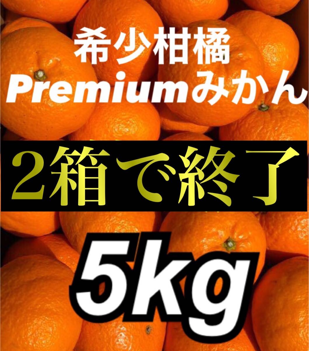 愛媛県産 Premiereみかん  箱込5kg  柑橘 果物 ミカン 