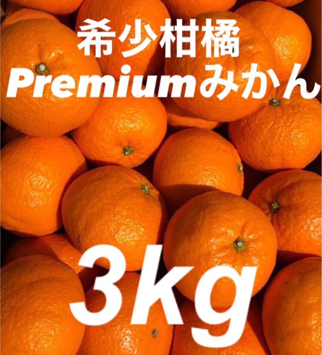 愛媛県産 Premiereみかん  箱別3kg  柑橘 果物 ミカン 
