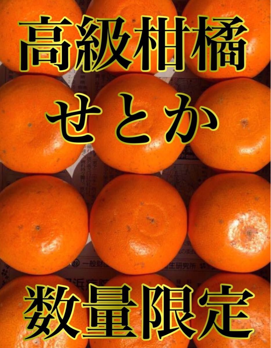 愛媛県産みかん  甘平 ちびちび小玉南柑20号 セット 箱別3kg柑橘 果物