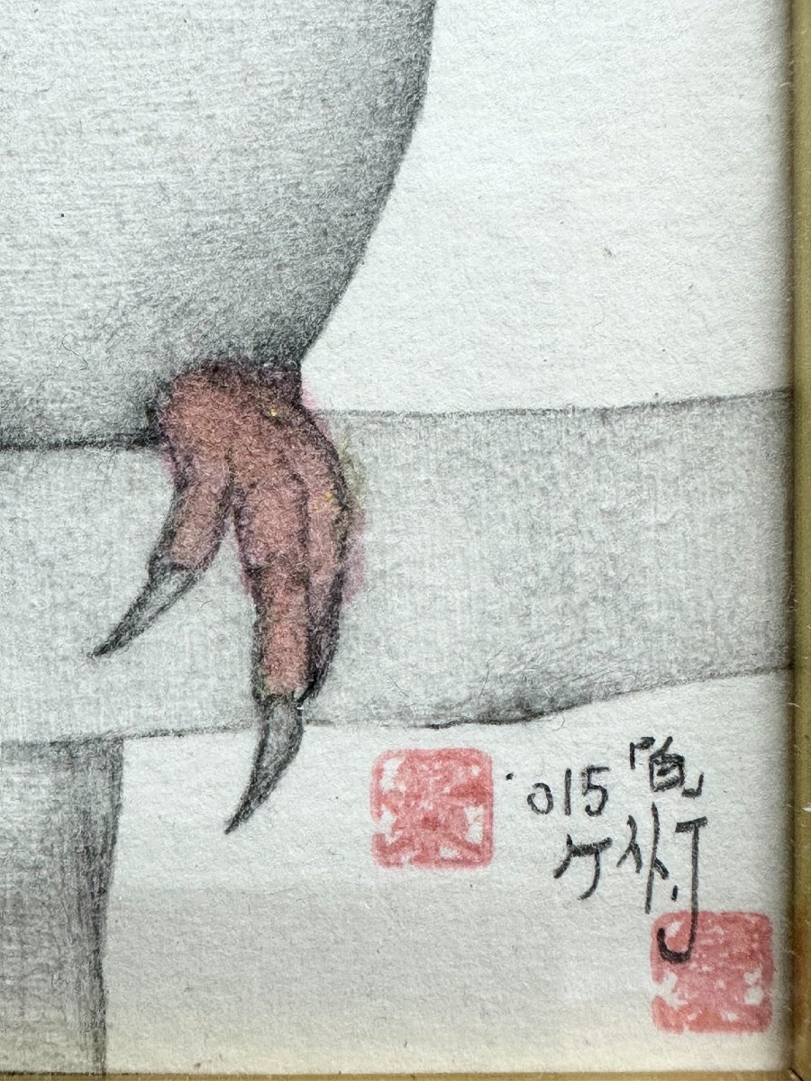 N 真作 原画 城景都 色鉛筆 オウム 鳥「白」ケイト.J 絵画 額入の画像7