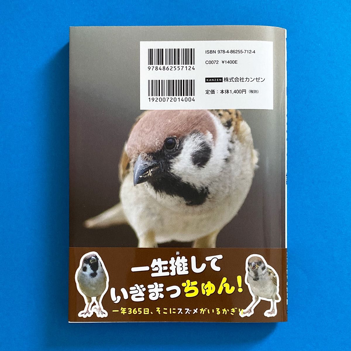 「にっぽんスズメ日誌」中野さとる　単行本