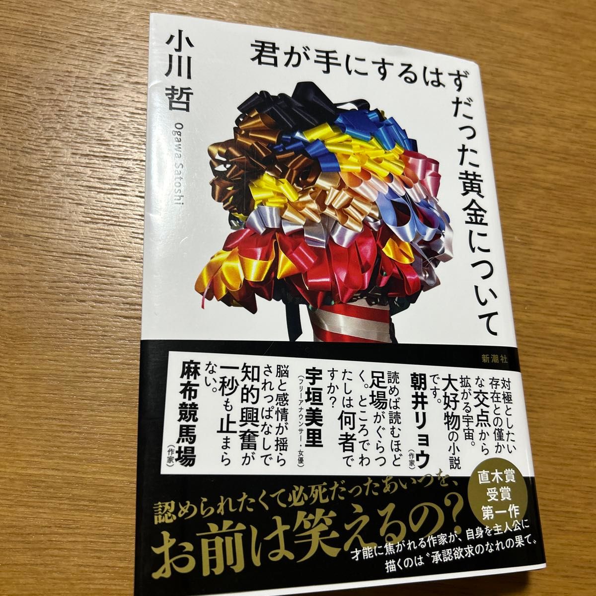 君が手にするはずだった黄金について - 文学・小説