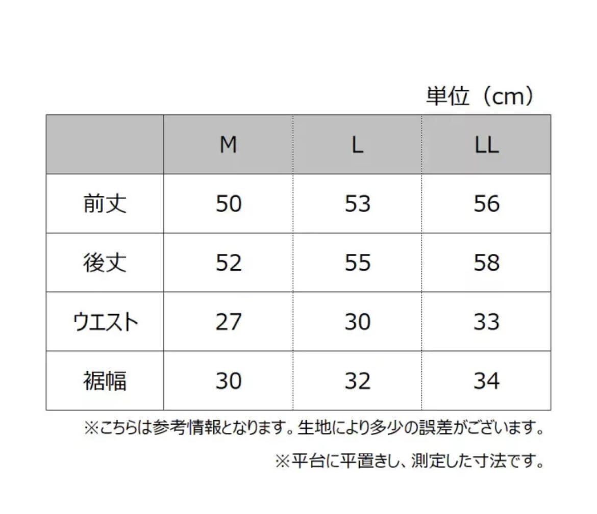 グンゼ フレアパンツ レディース 年間 アドバンスレーベル ペチパンツ ペチコート 女性汗対策 重ね履き用 GUNZE ADVANCE LABEL MA4265 L_画像3