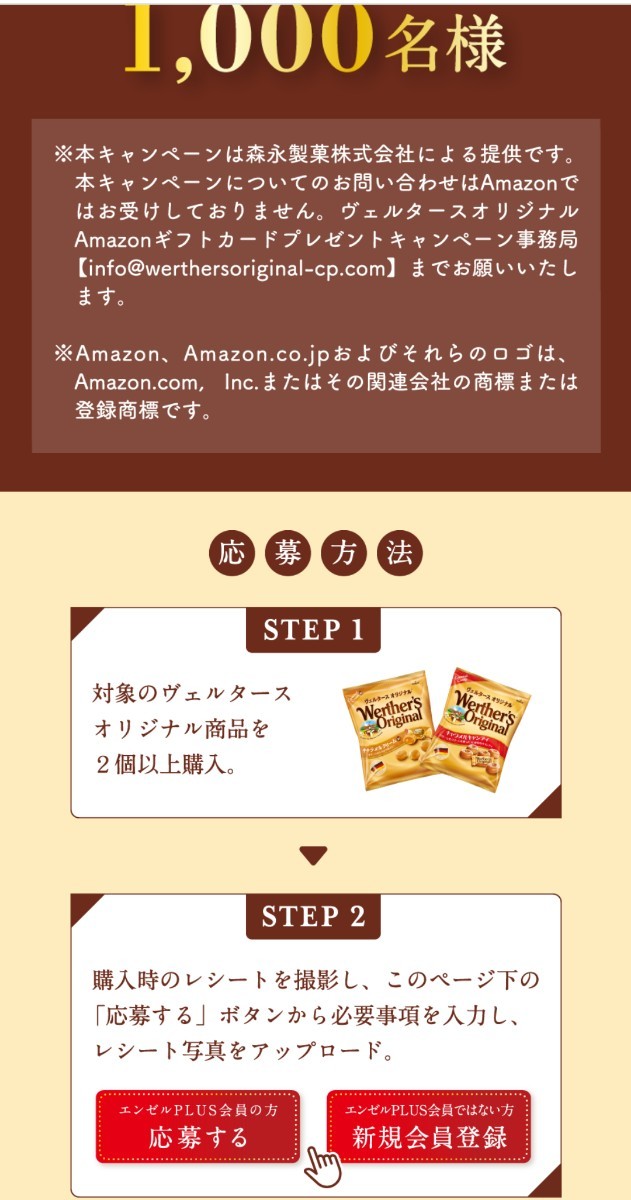 レシート懸賞応募、Amazonギフトカード1000円分が1000名様に当たる！締切4月30日_画像3