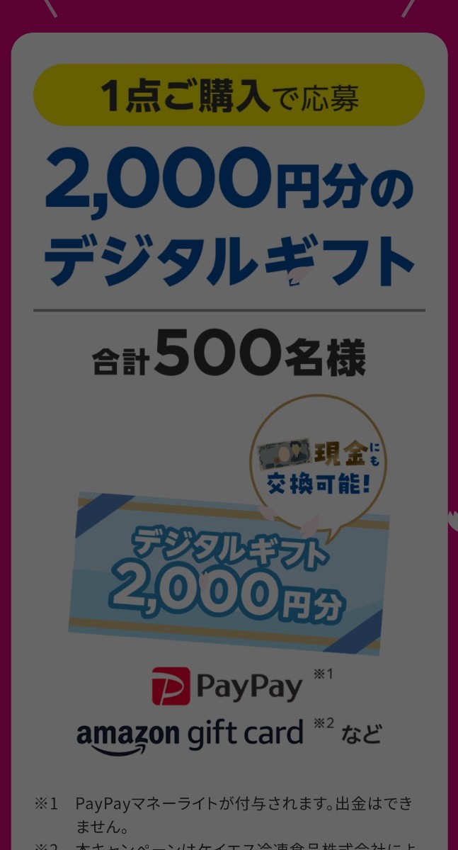 レシート懸賞応募、デジタルギフト2000円分当たる！締切5月31日_画像4