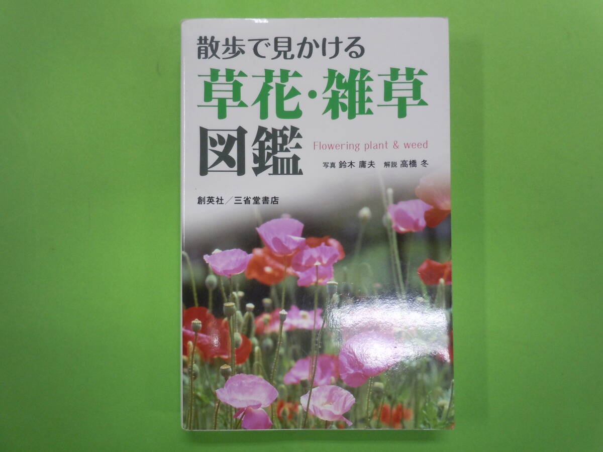  free shipping! walk . see .... flower *.. illustrated reference book ... beautiful!