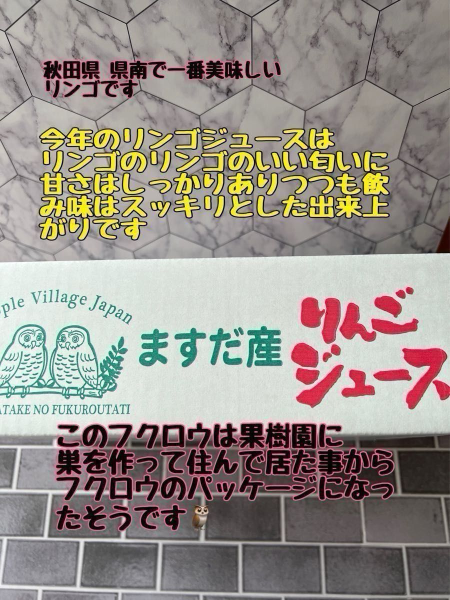 秋田県南産りんごジュース10個入りストレート100%