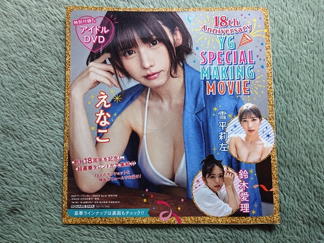 ヤングガンガン　2023年No.1　特別付録アイドルDVD【未開封】えなこ 雪平莉左 鈴木愛理 愛瀬ひな 米村姫良々 立花玲奈 ピョ・ウンジ_画像1