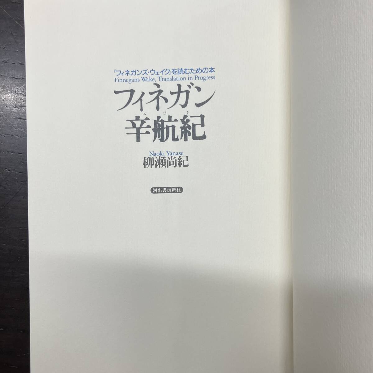 フィネガン辛航紀 柳瀬尚紀 河出書房新社 フィネガンズ・ウェイクを読むための本 1992年 初版 【A1】の画像4