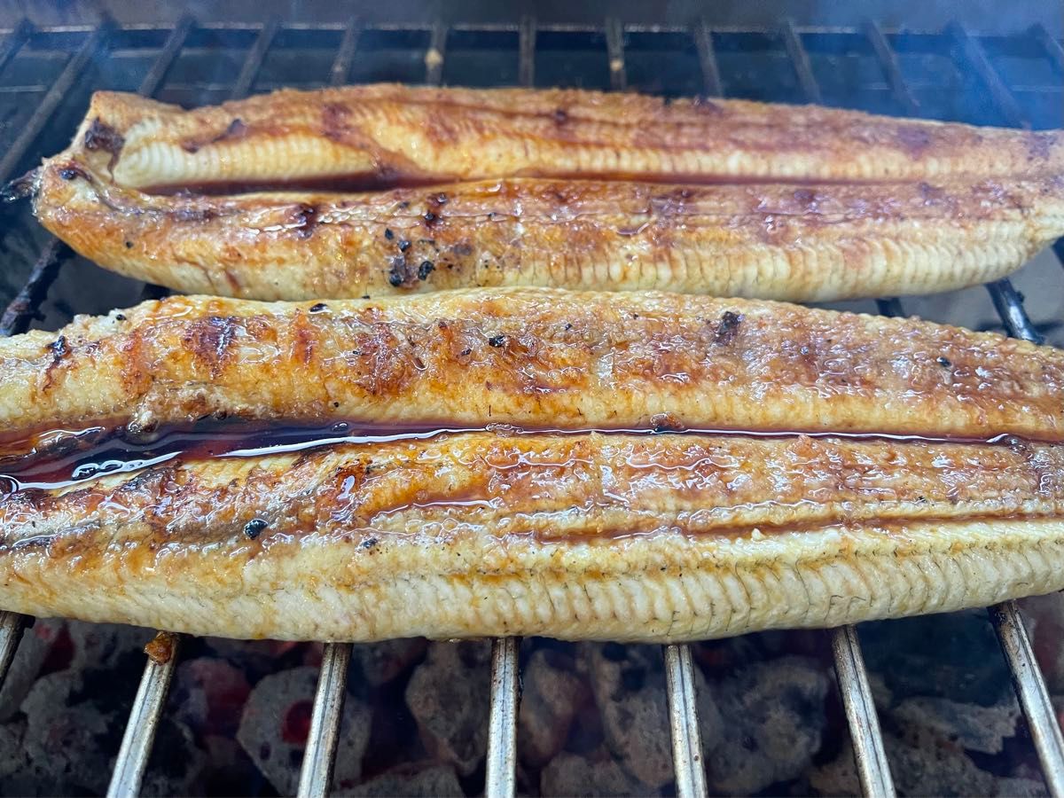 【味には自信あり】国産うなぎ　6尾　三河一色産　炭火焼き　送料込み