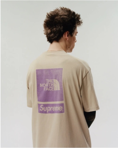 Supreme x The North Face S/S Top Mサイズ_画像3