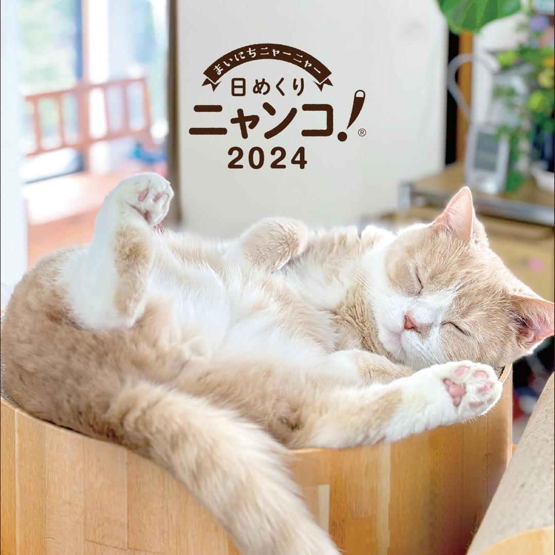 ◆日めくりニャンコ！2024年　卓上　日めくりカレンダー　猫版　ネコ　猫好き_画像1