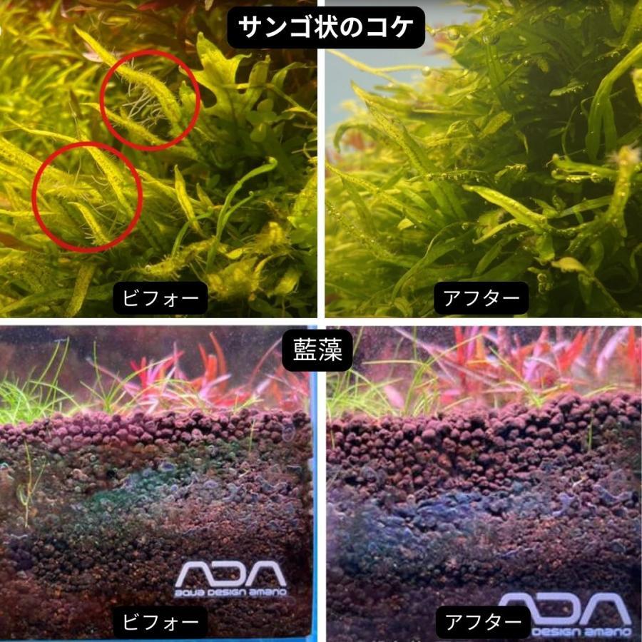 コケ取り剤 APT FIX 300ml【THE 2HR AQUARIST JAPAN】 (新品!）アクアリウム 熱帯魚やエビ、水草にやさしい水槽用_画像7
