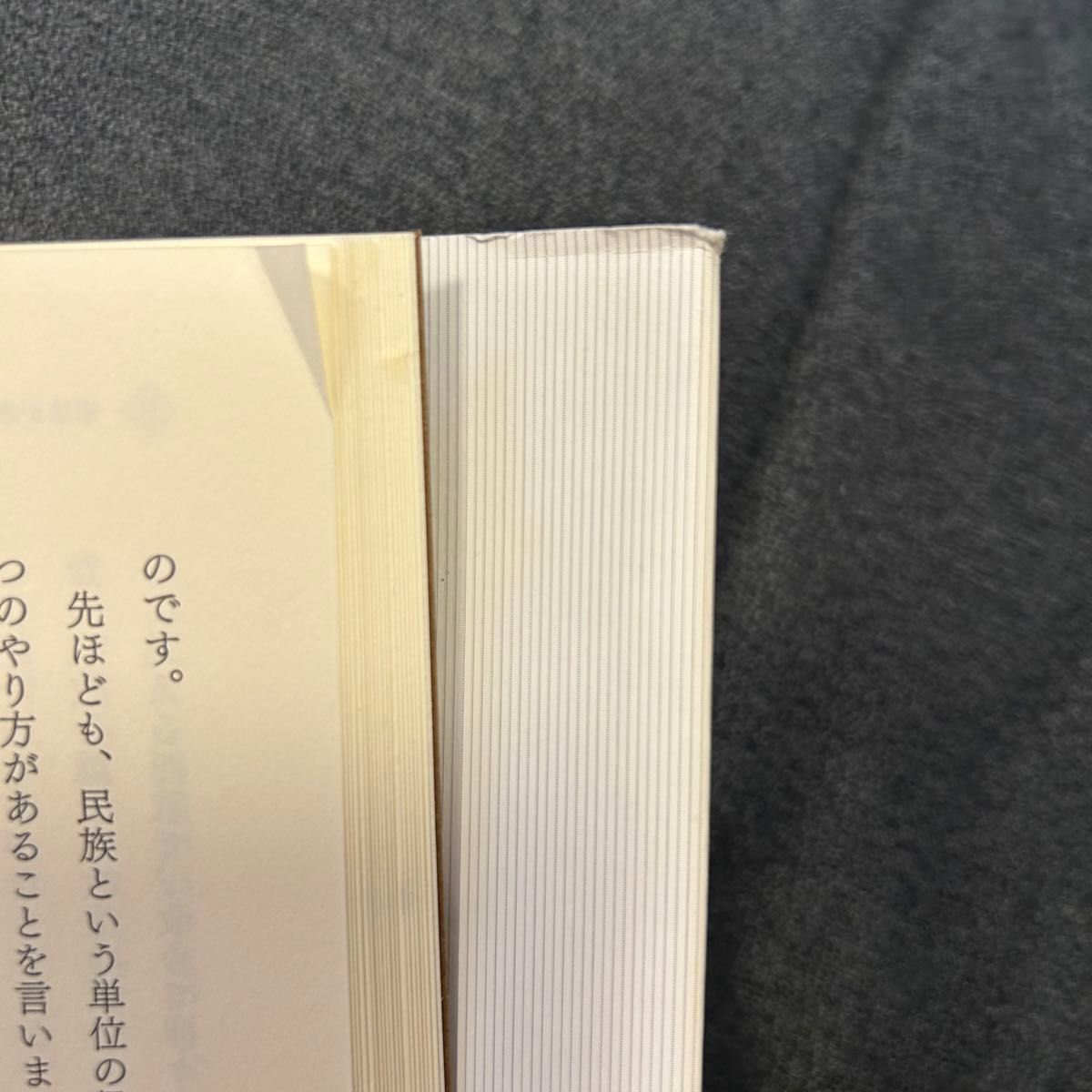 いま、憲法は「時代遅れ」か : 〈主権〉と〈人権〉のための弁明