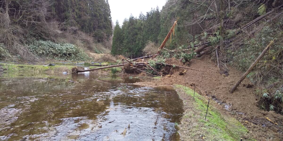 【復興米】５年産 コシヒカリ 白米１０㎏② 石川県輪島産 農家直送 遠赤外線乾燥 無農薬栽培 世界農業遺産 紙袋で発送_画像1