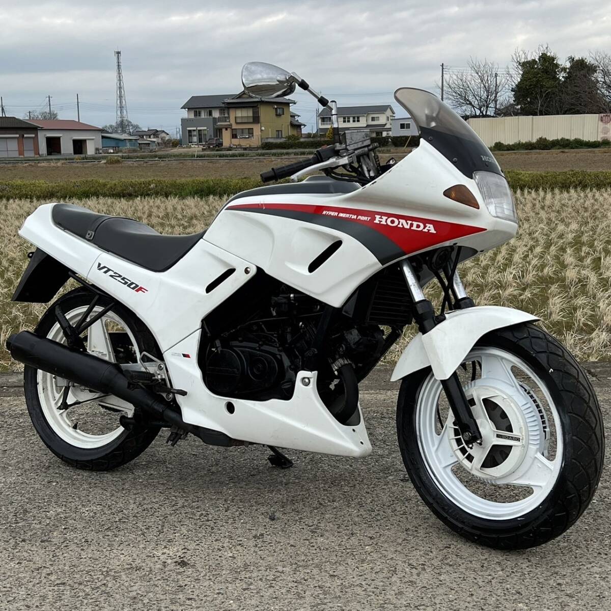 ホンダ VT250FG MC15 実動 書類付 現状車 低走行 絶版 人気 検）VT VTR CS GX CBR CB GB CBX ZXR FW GSX FX バリオス ジェイド VT250F_画像1