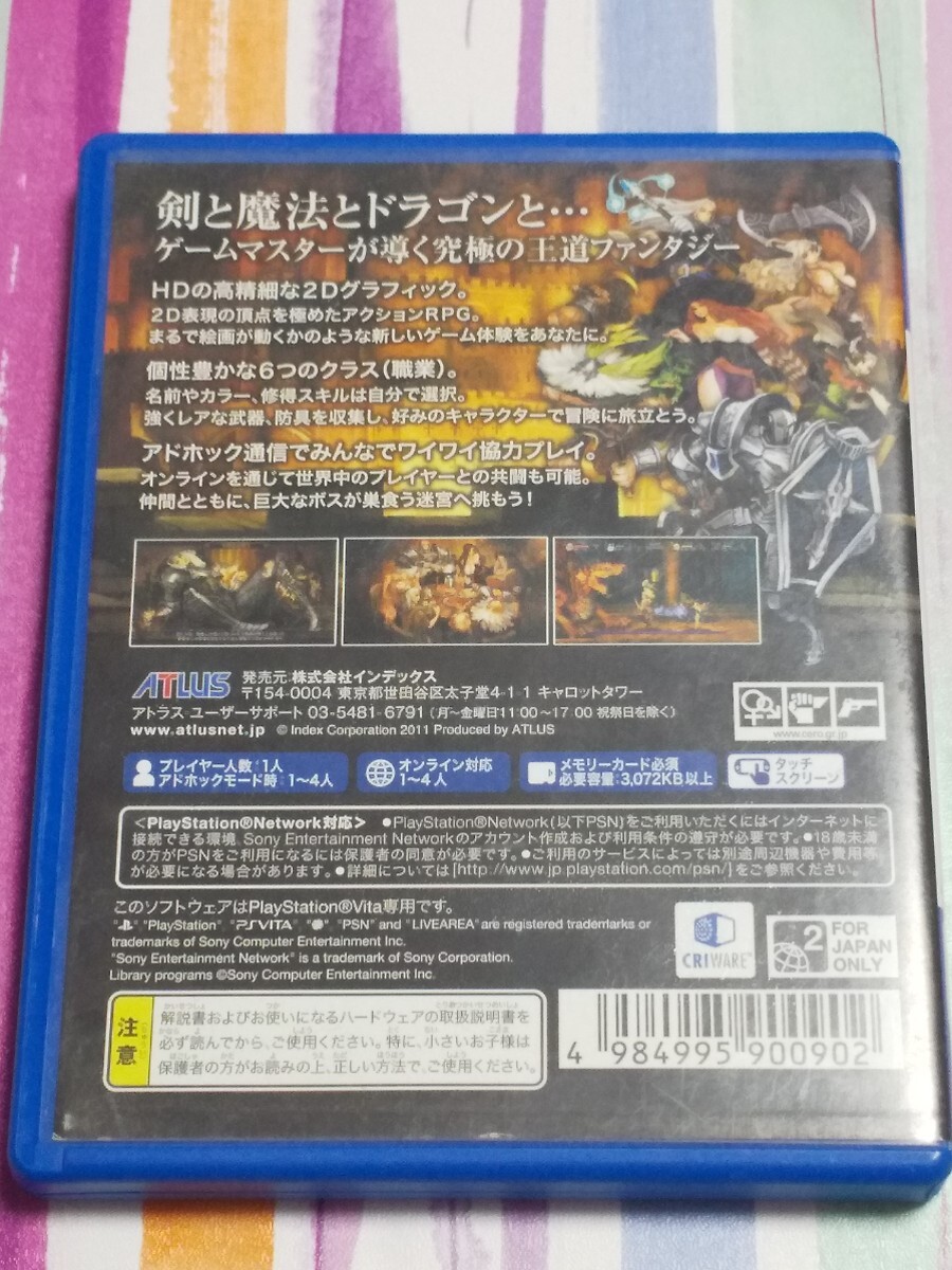 PS Vita ドラゴンズクラウン【管理】M4C95_画像3