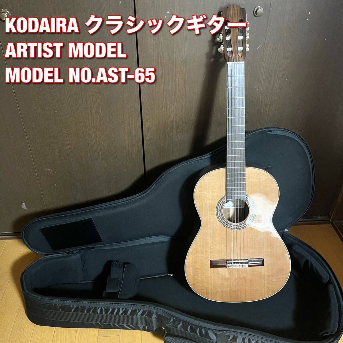 KODAIRA 小平 ARTIST クラシックギター Model AST-65 楽器 ケース付き