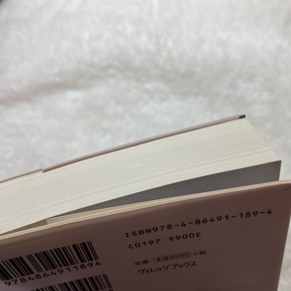 愛しき放蕩者 （ヴィレッジブックス　Ｆ－リ１－８　華麗なるマロリー一族） ジョアンナ・リンジー／著　那波かおり／訳_画像3