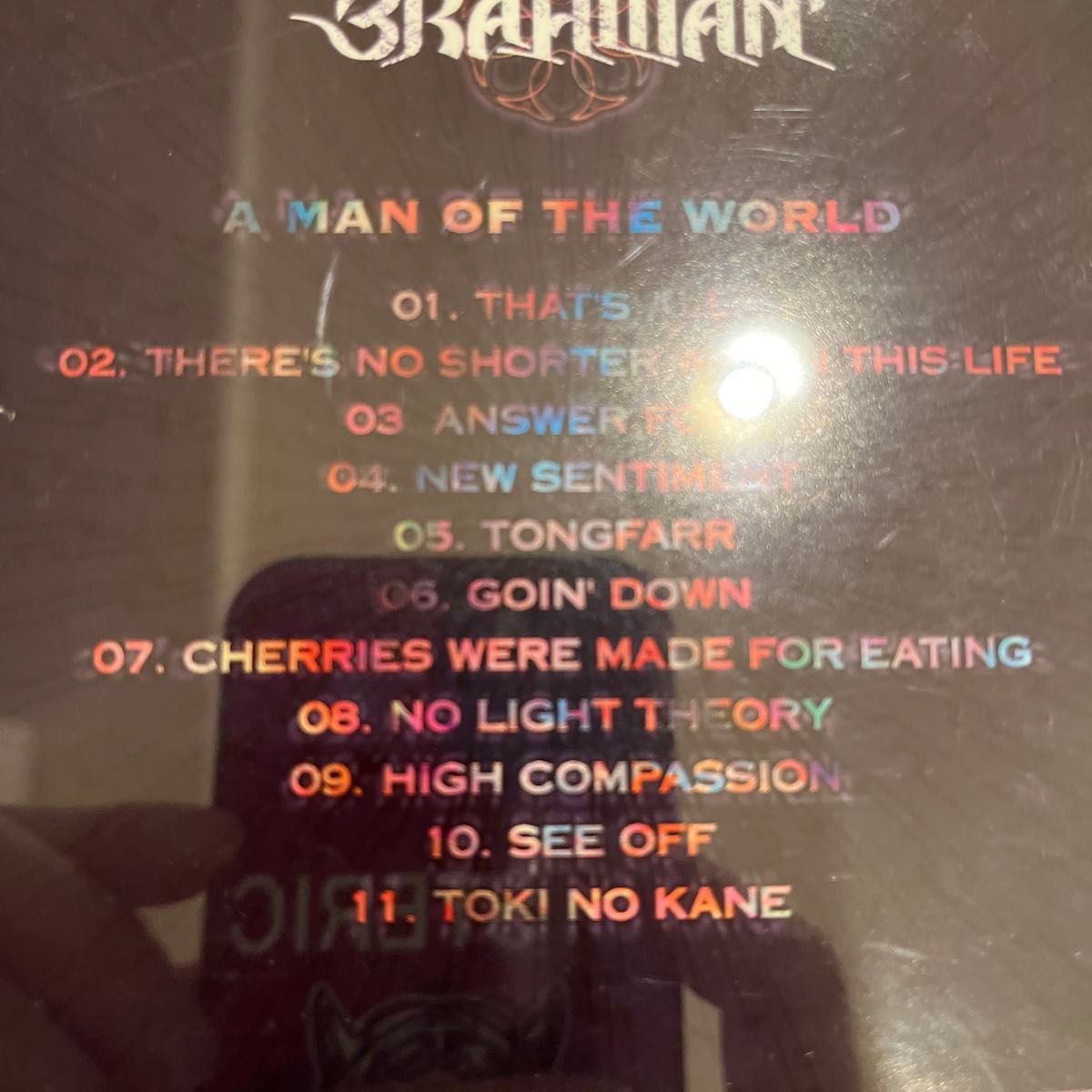 BRAHMAN A MAN OF THE WORLD 