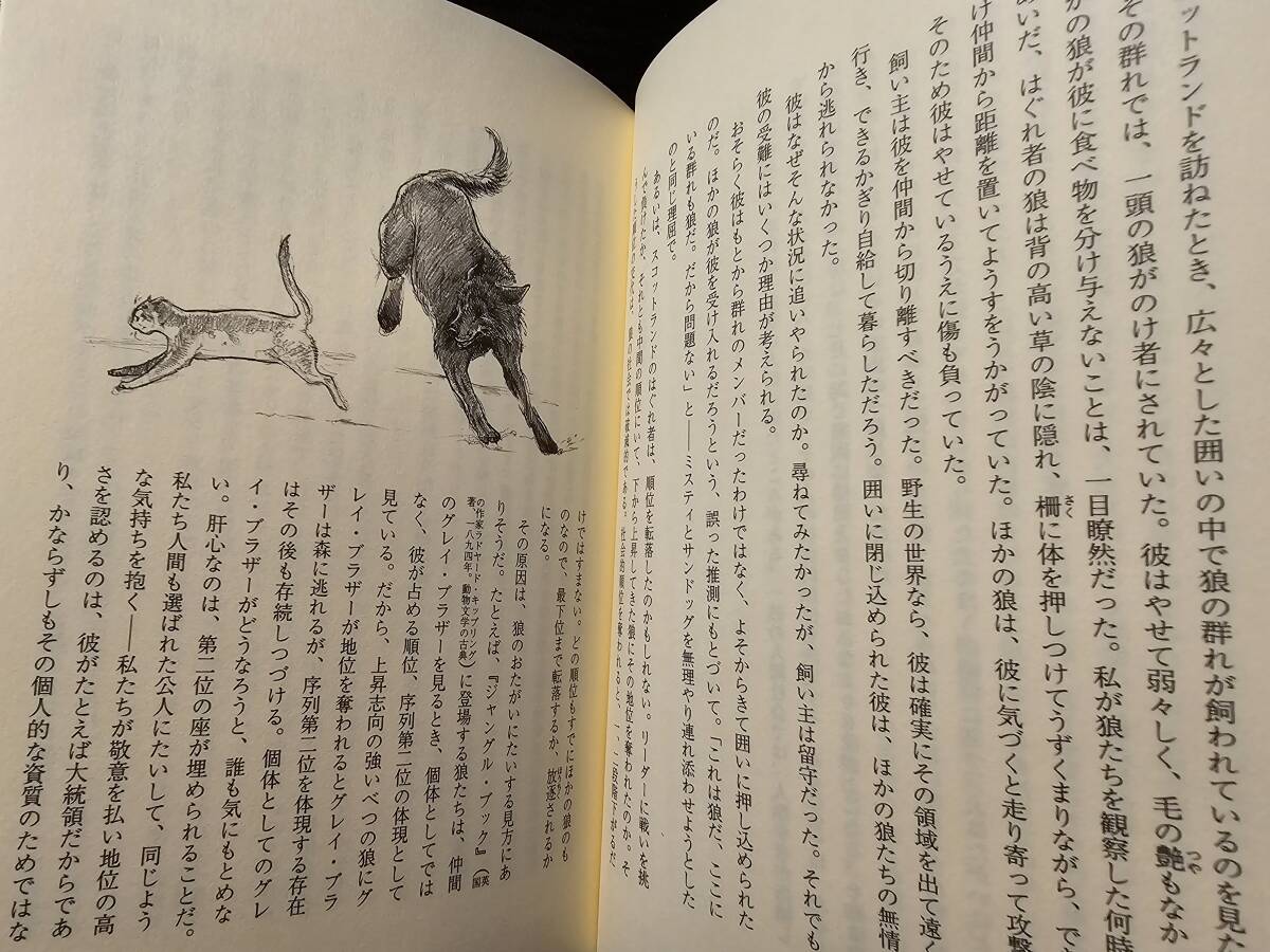 犬たちの礼節ある社会生活 / 著者 エリザベス・M・トーマス / 訳者 木村博江 / 草思社の画像6