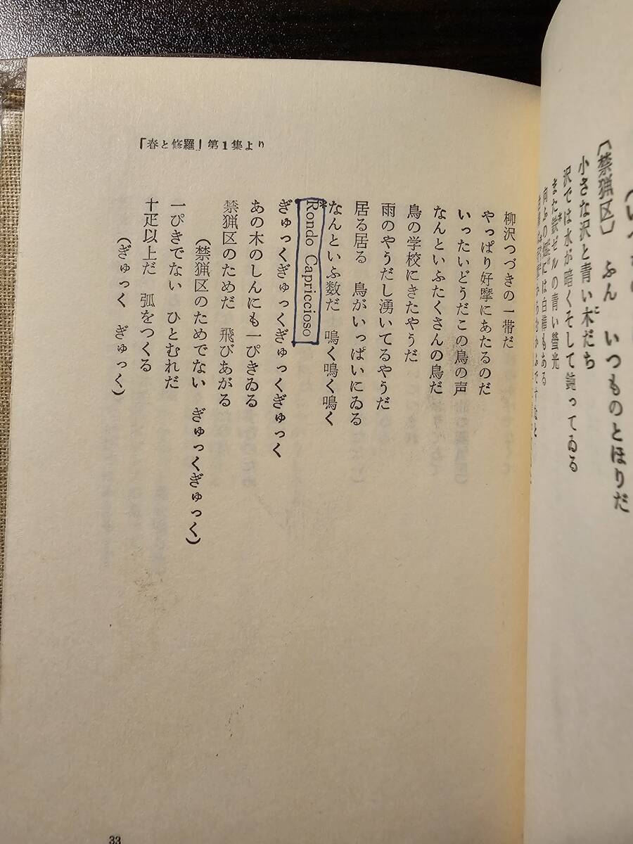 宮沢賢治 詩集 / 編者 藤島宇内 / 大和書房 初版の画像6