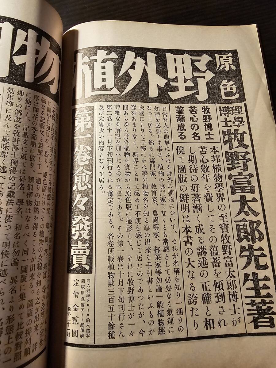 子供の科学 最新書報 昭和7年12月号 / 誠文堂_画像7