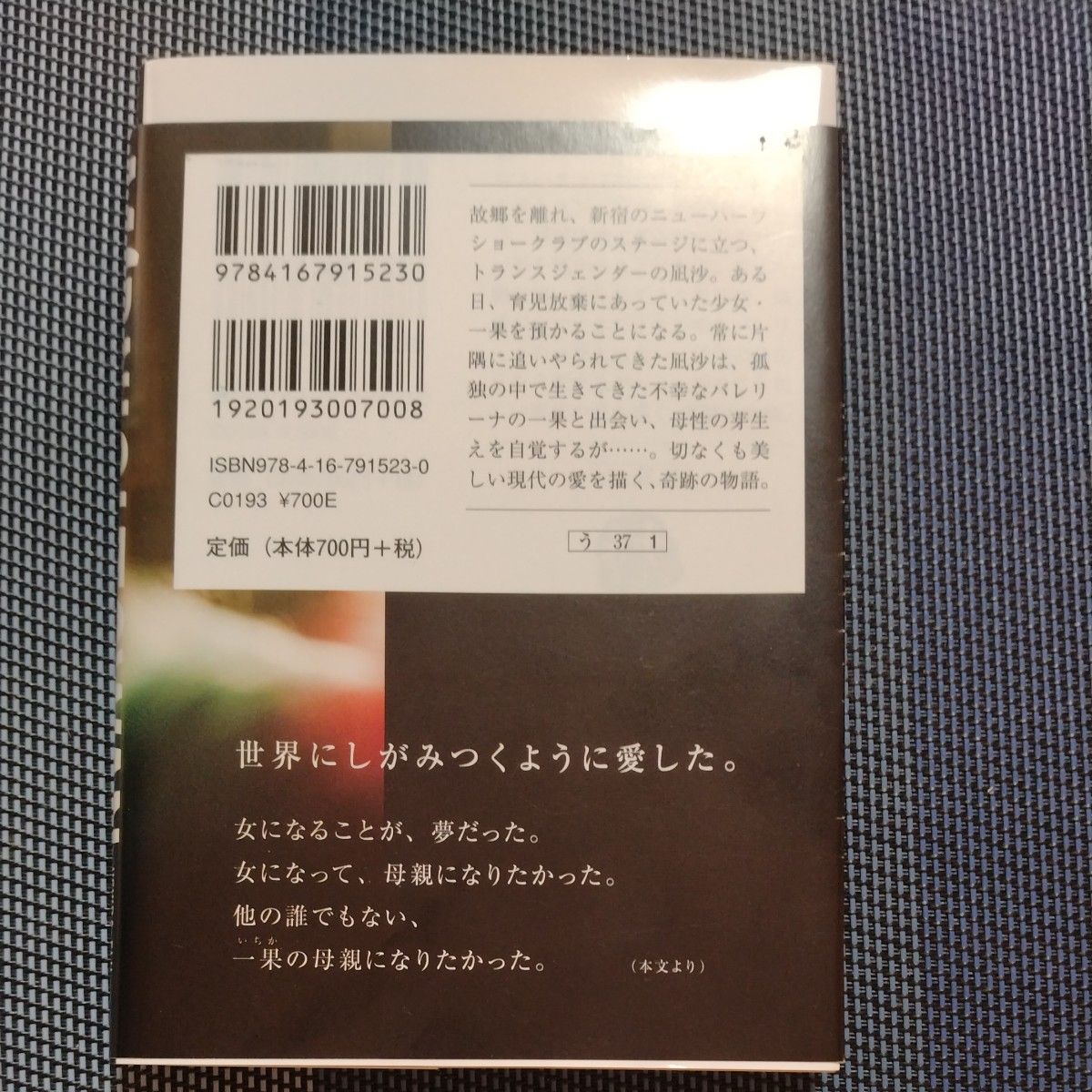 ミッドナイトスワン （文春文庫　う３７－１） 内田英治／著