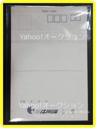 人気激安 希少品】中古品 未記入 EGAWA企画 江川企画 未記載「株式会社 その他