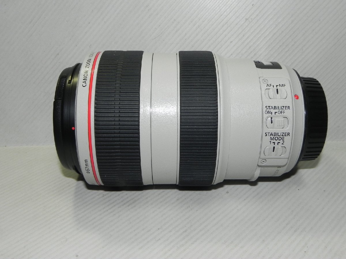 Canon EF 70-300mm F4-5.6 L IS USM(手ブレ補正)_画像3