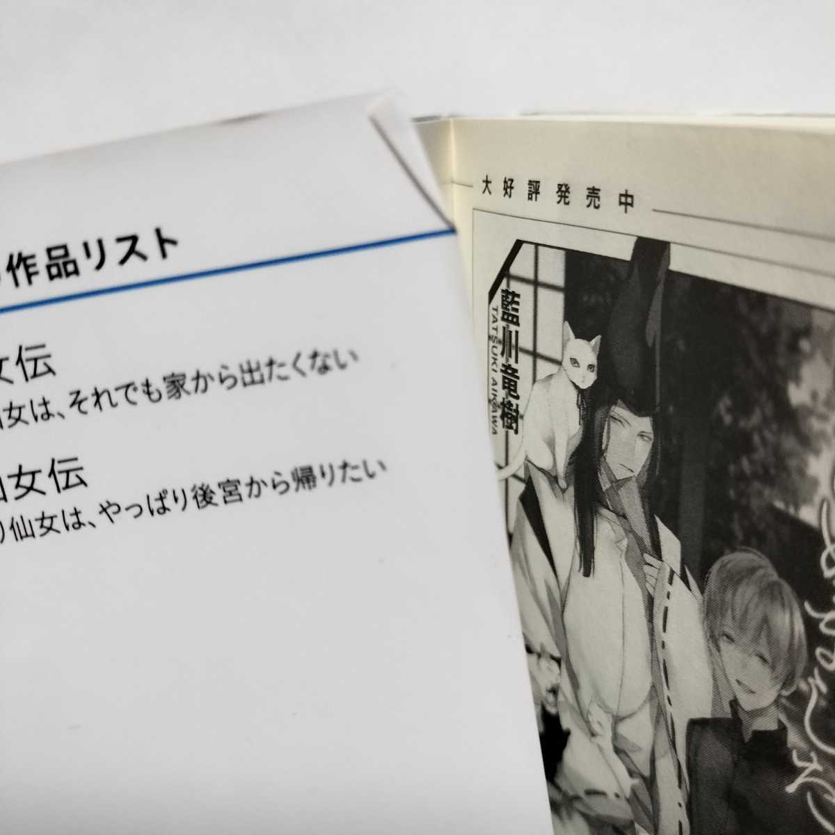 書き下ろしSS小説ペーパー有★帯付初版★花琳仙女伝 引きこもり仙女は、やっぱり後宮から帰りたい 桜川ヒロ★皇帝陛下の命により薬師を追え_画像4