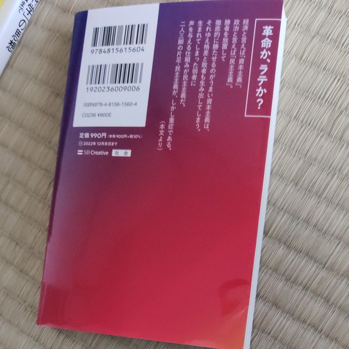 ２２世紀の民主主義　選挙はアルゴリズムになり、政治家はネコになる （ＳＢ新書　５８６） 成田悠輔／著